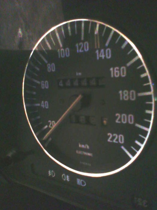 217405073.jpg